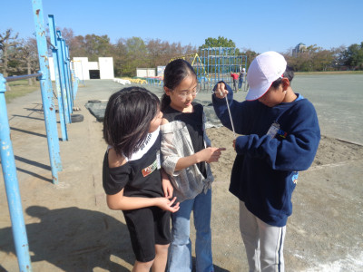 DSC00317