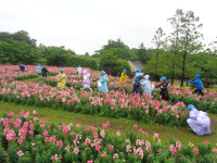 DSC04424