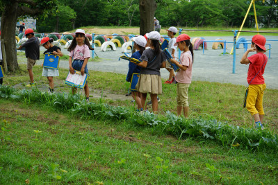DSC06277