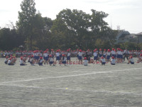 DSCN2233