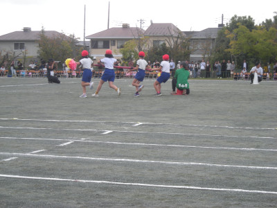 DSCN2246