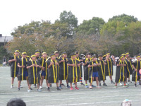 DSCN2253