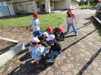 IMG_0450