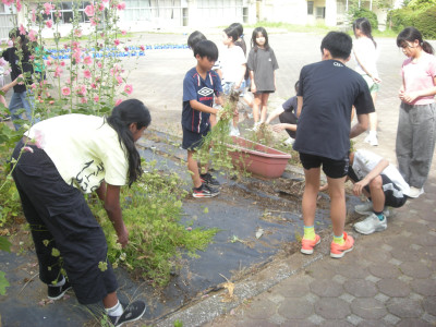 DSCN3162